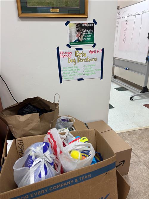 Beta Club helps dogs in need.